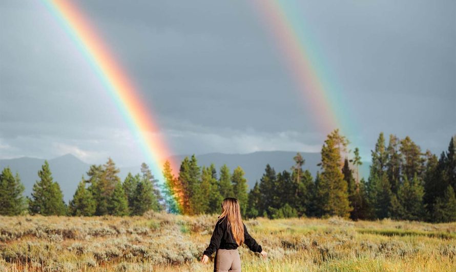 Arriving in Wyoming: A Comprehensive Guide to Jackson Hole Airport