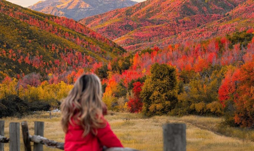 Fall Foliage Delight: Exploring Salt Lake City in Autumn