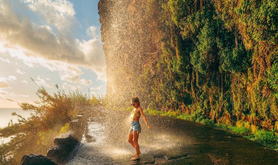 Tasting Paradise: A Seafood Culinary Journey on Madeira Island