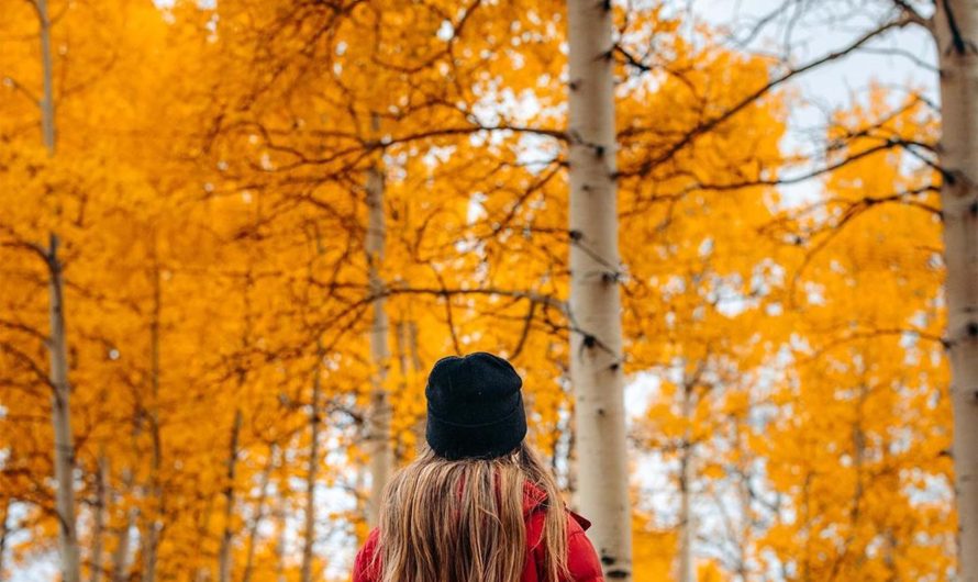 The Great Salt Lake: A Serene Autumn Escape Just Outside the City