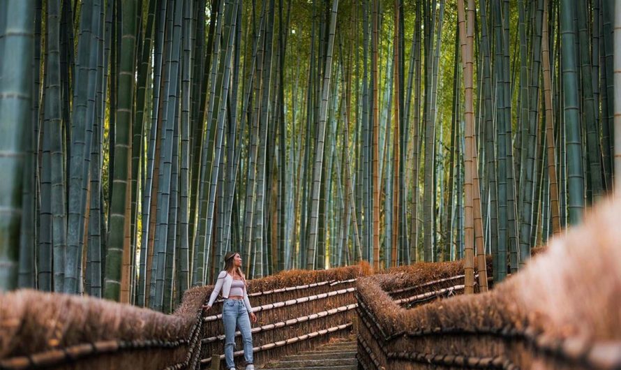 Navigating Narita: A Personal Odyssey Through Tokyo’s Main Airport